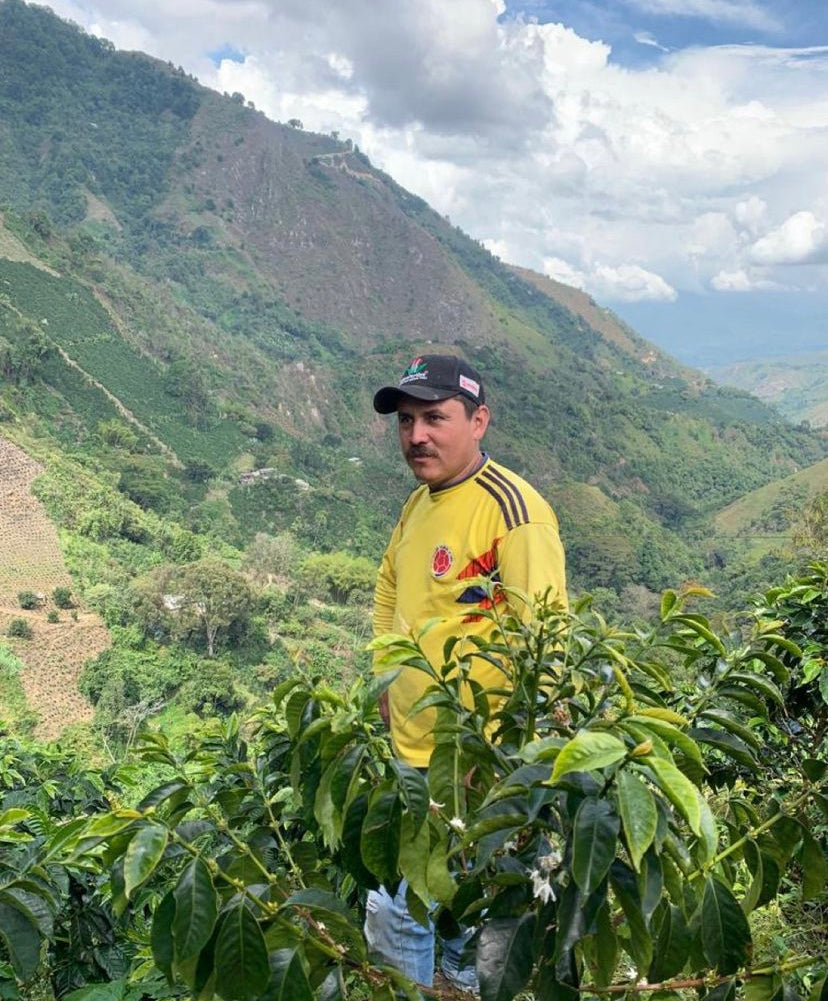 BUENAVISTA 1KG - Siembra Coffee