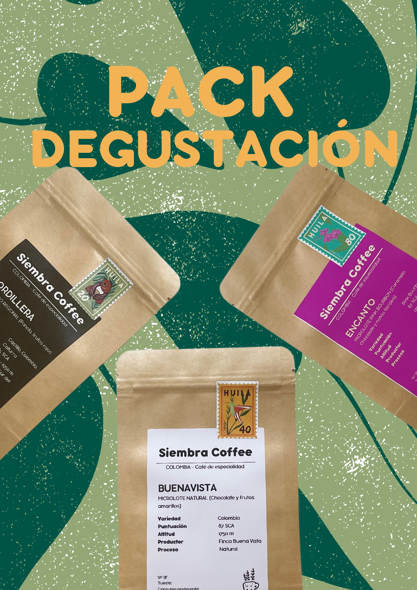 PACK DEGUSTACIÓN